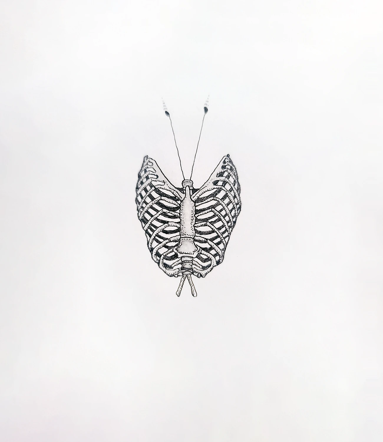 Illustration titled Butterfly Elder with delicate wing-like patterns of an upside down ribcage